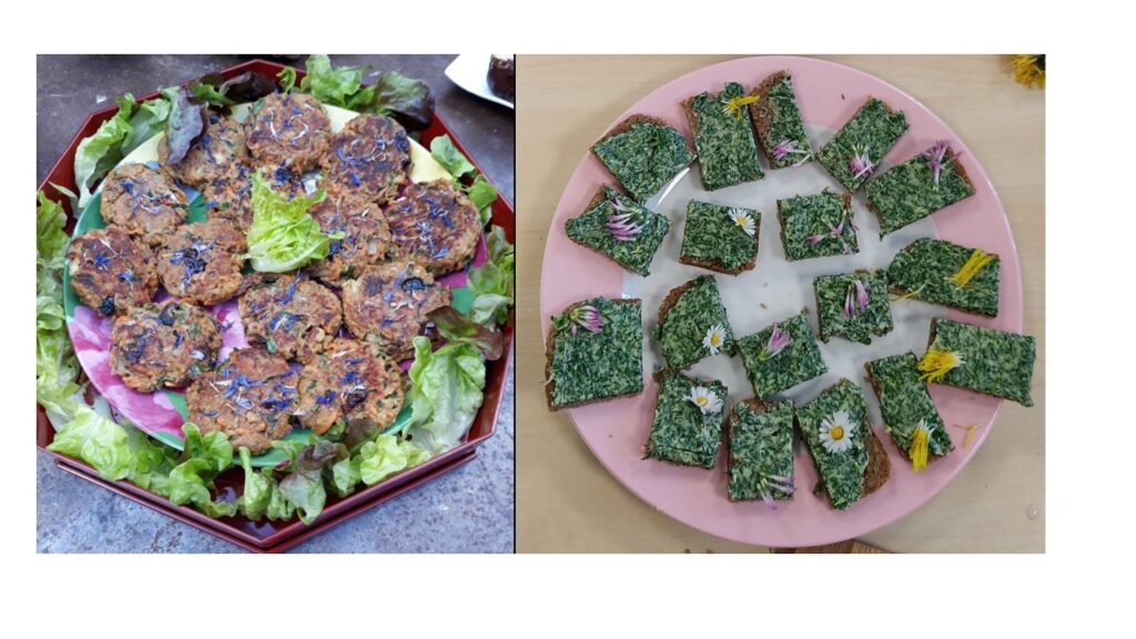 Atelier pratique Mille-Pertuis sur les Plantes Sauvages