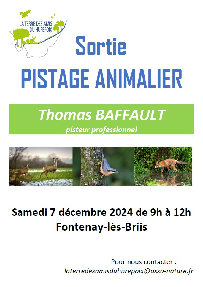 Sortie Pistage animalier