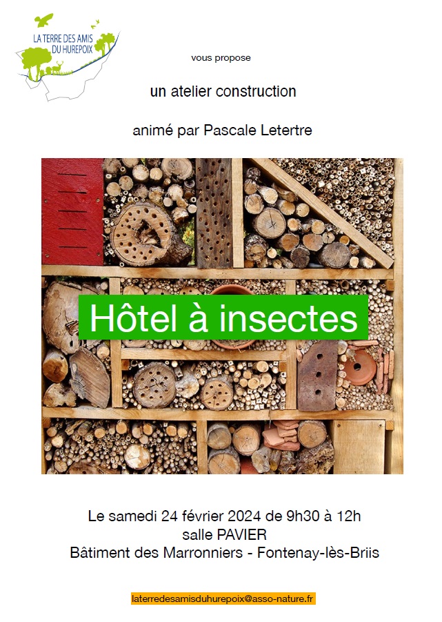 Atelier de construction d'un hôtel à insectes
