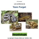 Conférence Herpétologie : serpents, reptiles et amphibiens. ANNULÉE