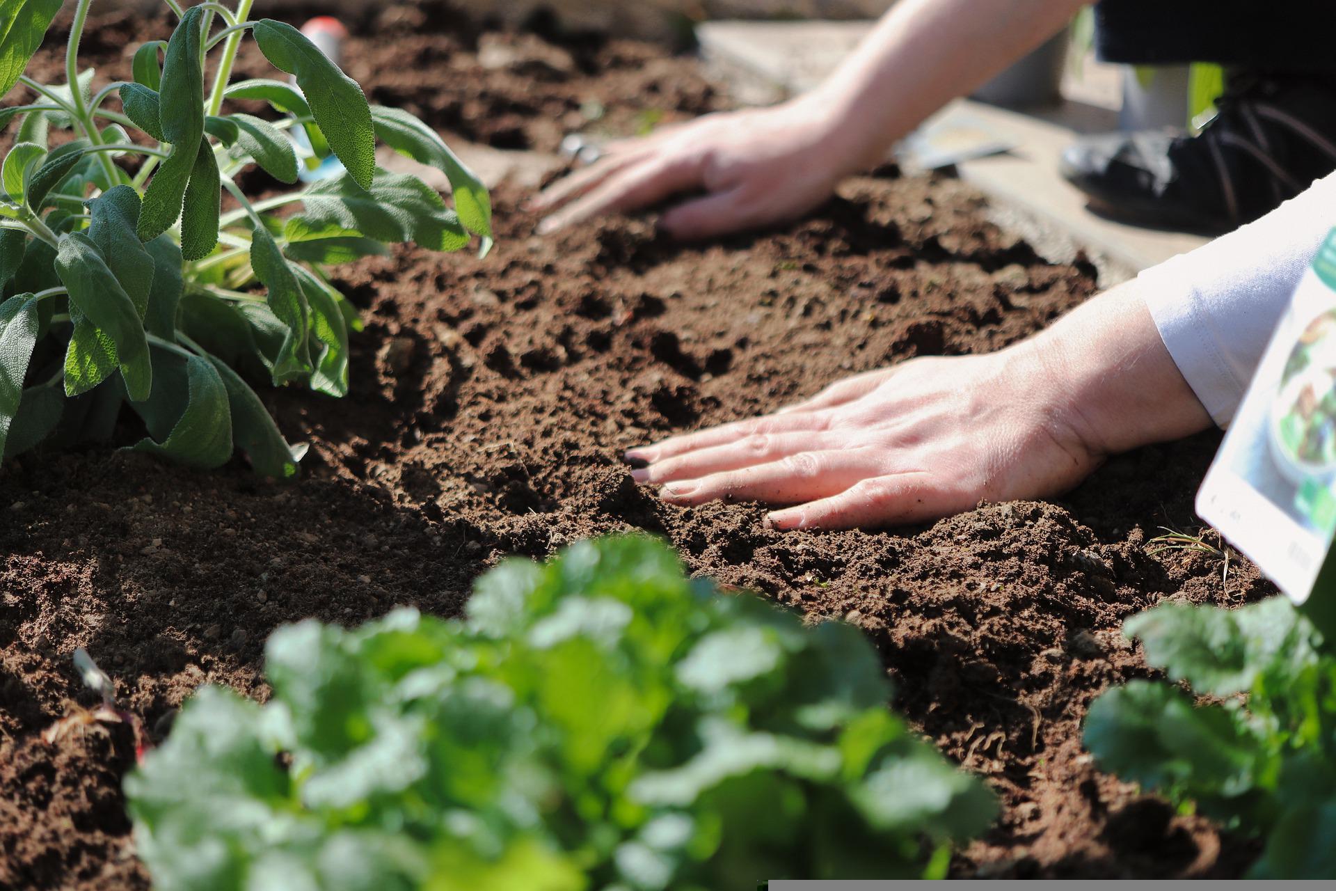 Réunion participative : Vers plus d'autonomie alimentaire locale !